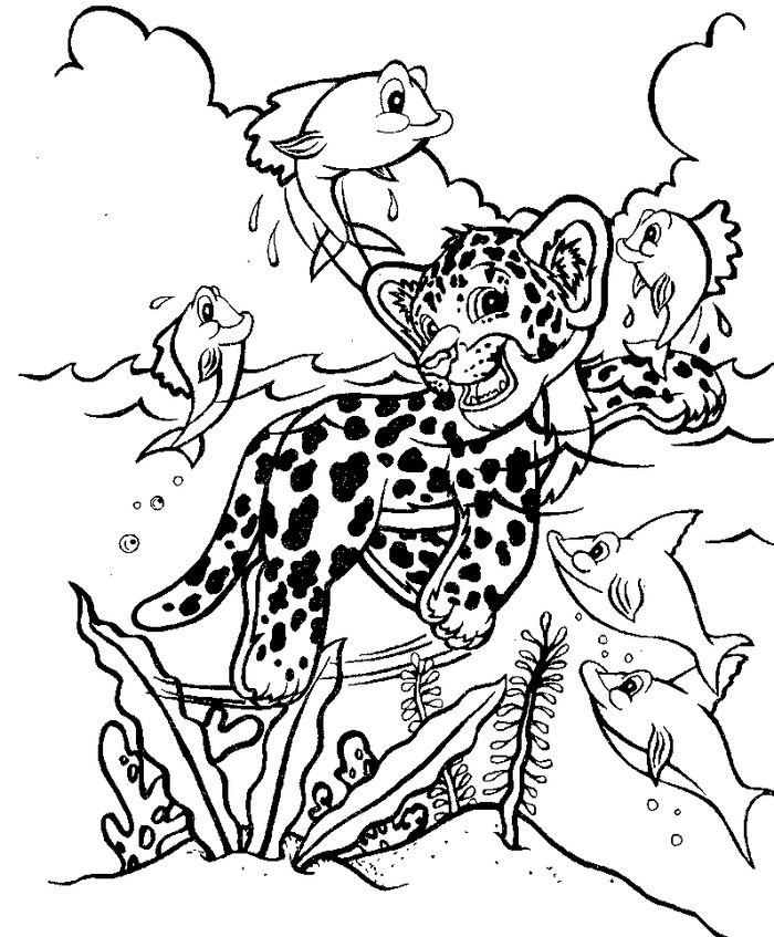 Baby Leopard Coloring Pages