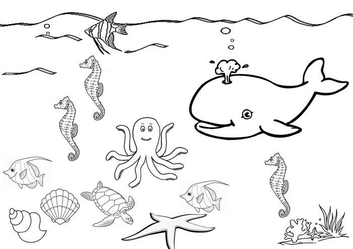 Baby Sea Animals Coloring Pages