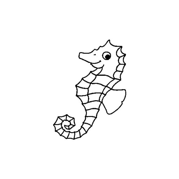 Baby Seahorse Coloring Pages