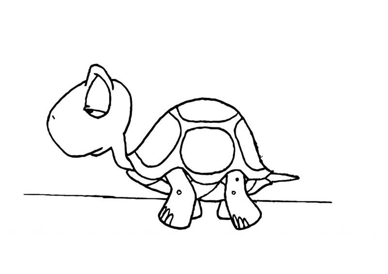 Baby Turtle Coloring Pages