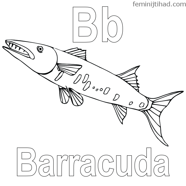 Barracuda Fish Coloring Page Printabe