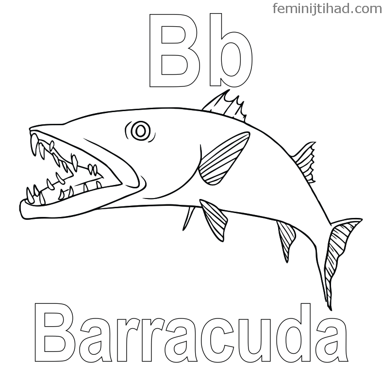 Barracuda Fish Coloring Sheet