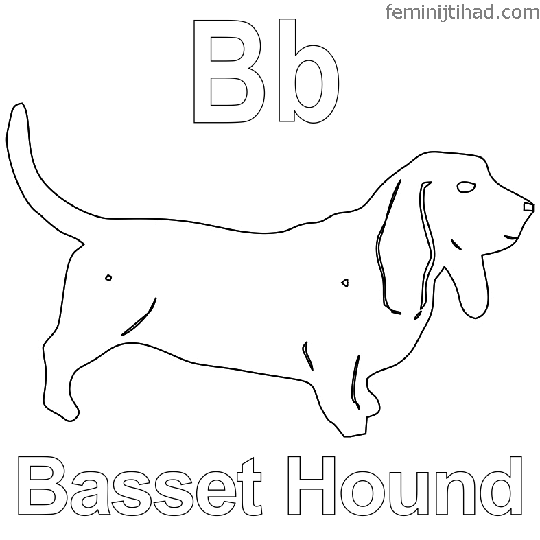 dog basset coloring pages