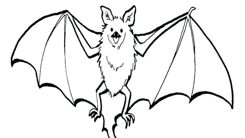 Bat And Ball Coloring Pages