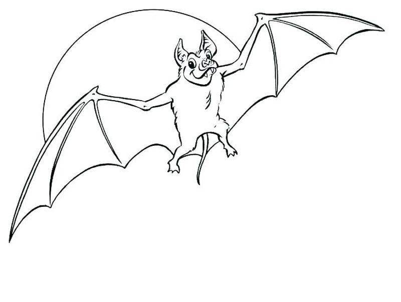Bat And Butterfly Coloring Pages