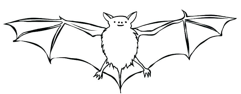 Bat Coloring Pages For Kids To Color For Free