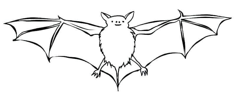 Bat Coloring Pages PDF for Your Kids - Coloringfolder.com