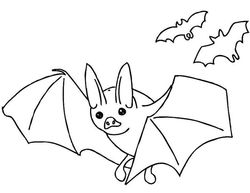Bat Coloring Pages Free Printable