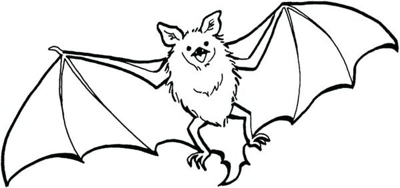 Bat Halloween Coloring Pages