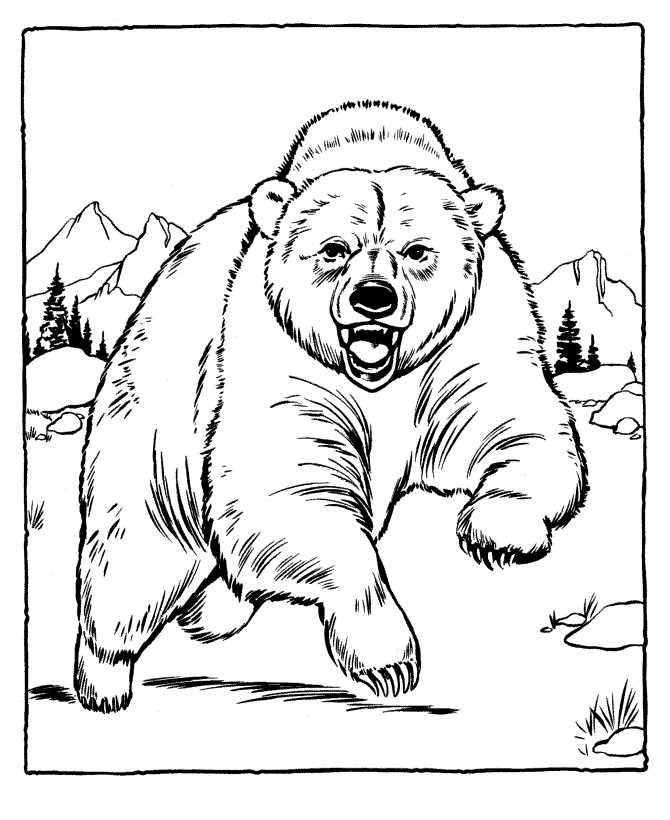 Bear Animal Coloring Page