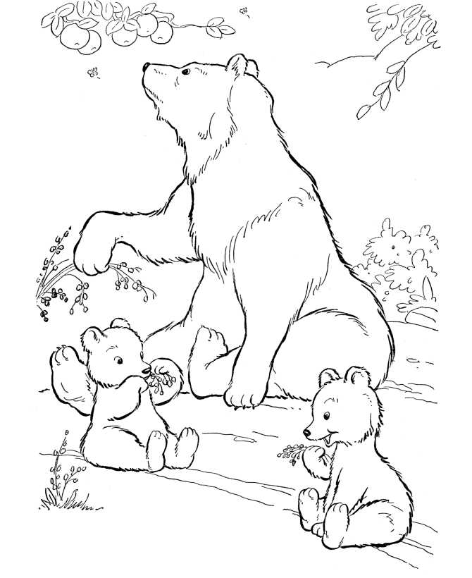 Bear With Cubs Animal Coloring Pages