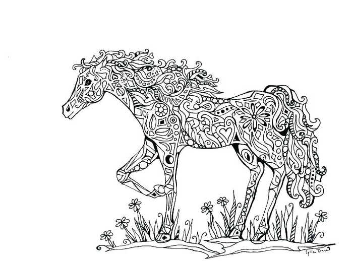 Beautiful Adult Horse Coloring Page
