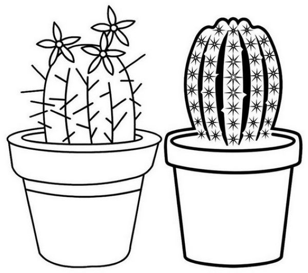 Beautiful Cactus on the Pot Coloring Page
