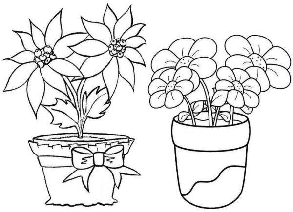 Best Flower Pot Coloring Page