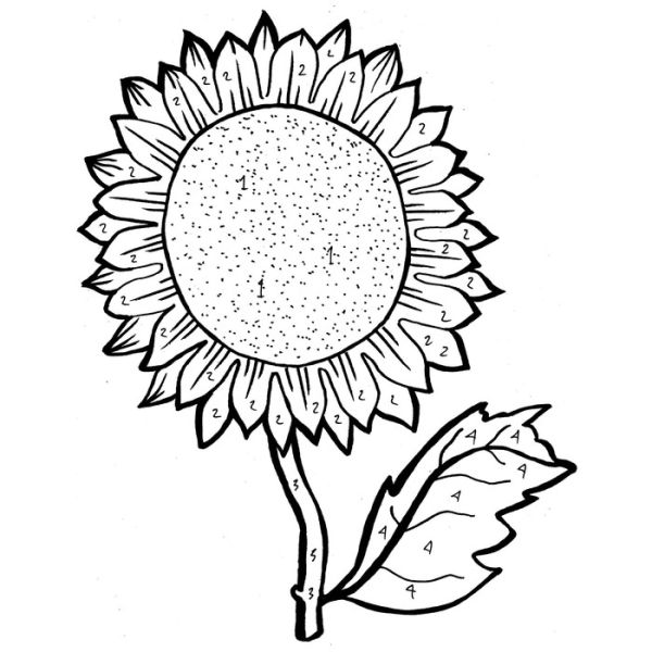 Big sunflower coloring pages