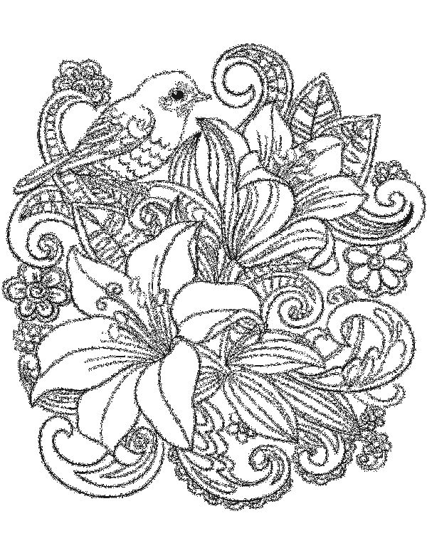 Bird Bouquet Floral Coloring Pages For Adults