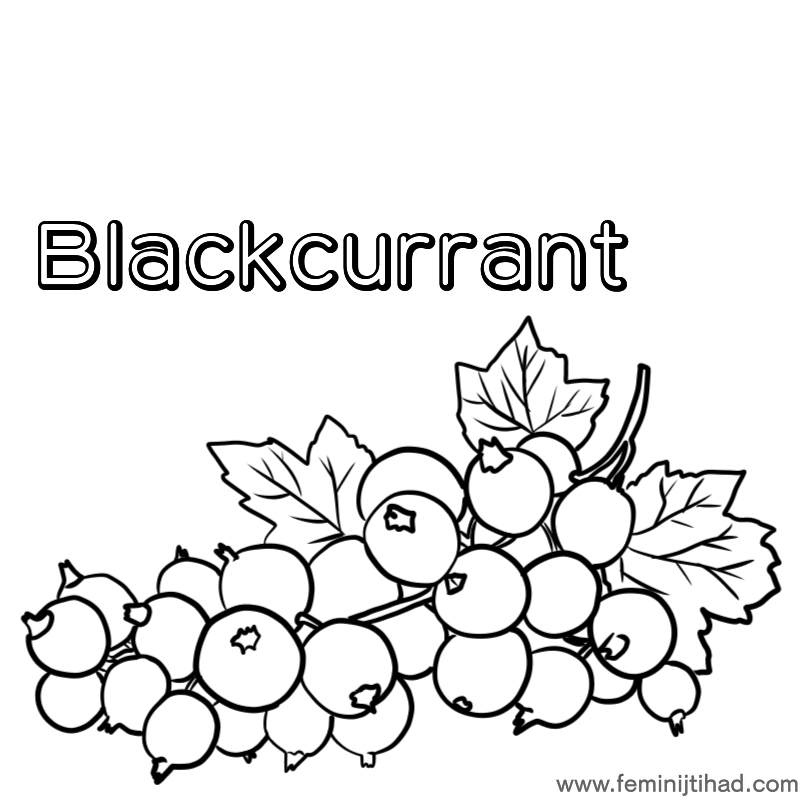 Easy Black Currant Coloring Pages PDF For Kids - Coloringfolder.com