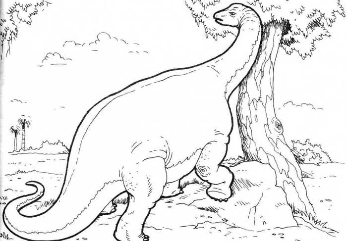 Brontosaurus Dinosaur Coloring Sheet