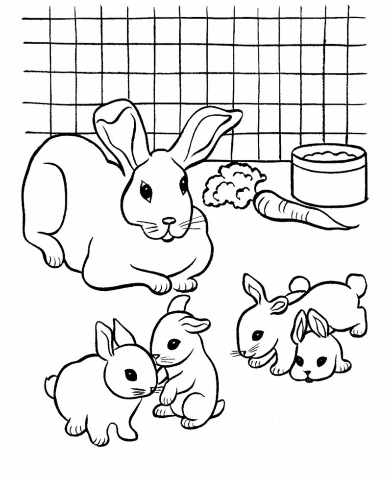 Bunny Coloring Pages to Print