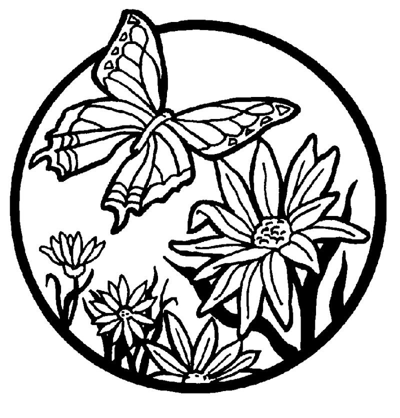 Butterflies Coloring Pages