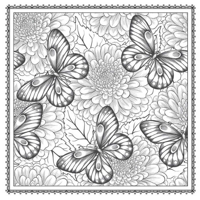 Butterflies In Flowers Adult Coloring Pages