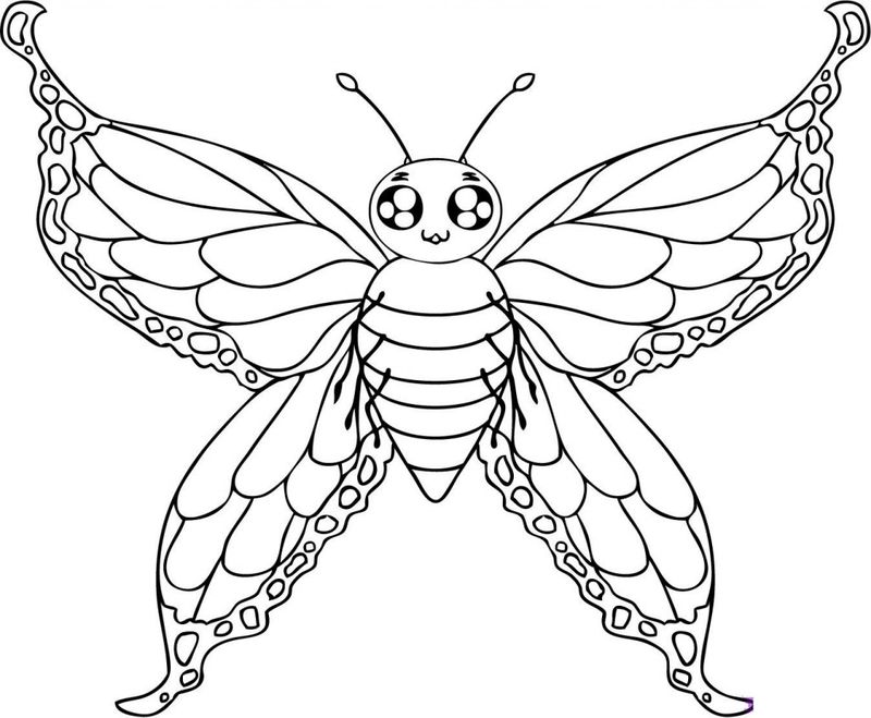 Butterfly Coloring Pages For Kids To Print