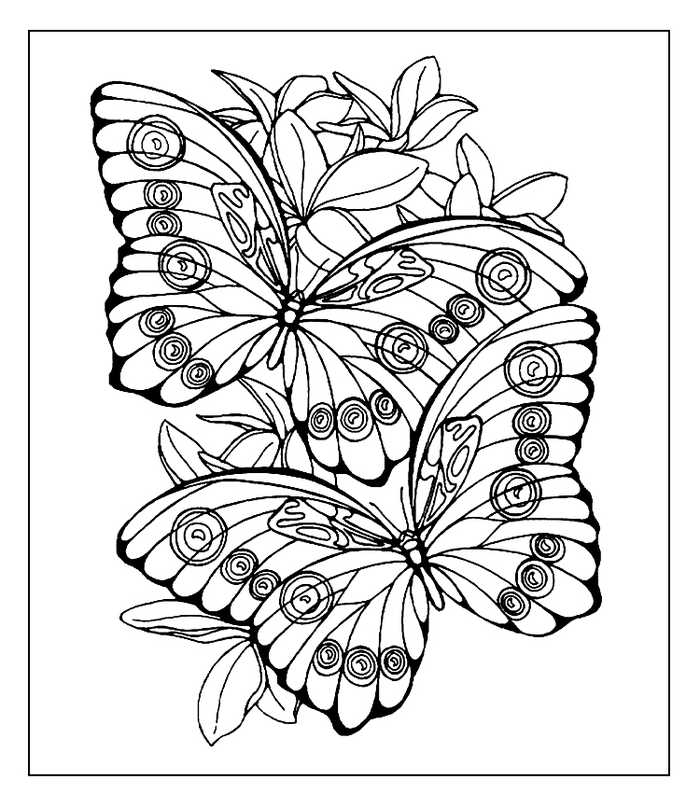Butterfly Coloring Pages Printable
