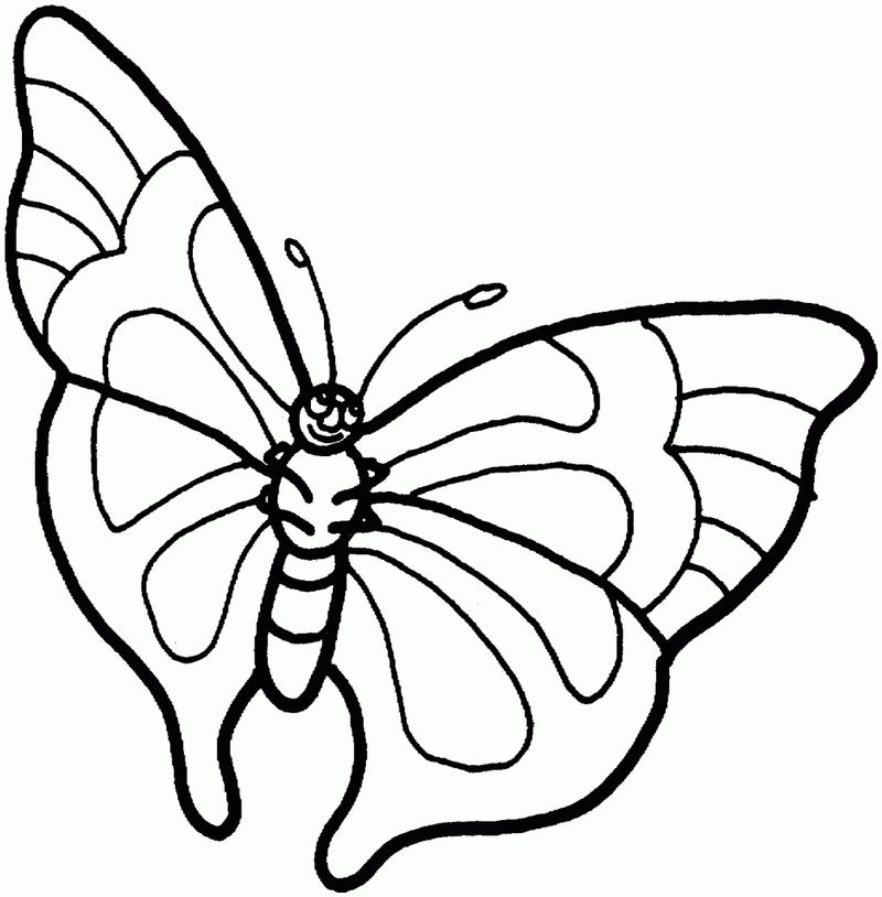 Butterfly Coloring Pages Printables