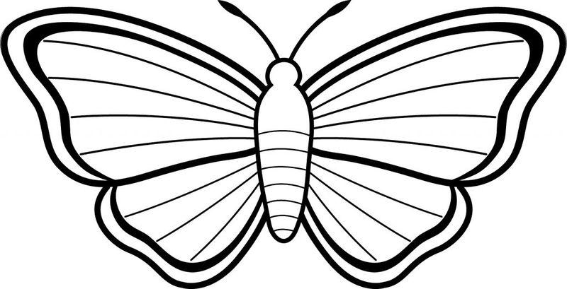 Butterfly Kids Coloring Pages