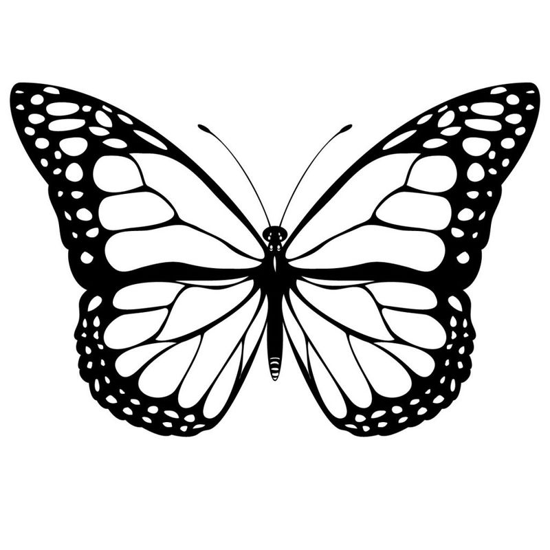 Butterfly Printable Coloring Pages