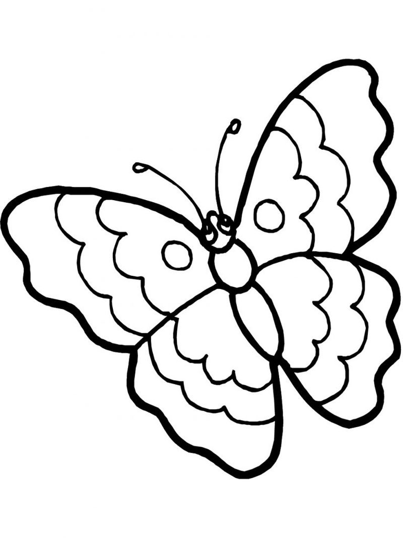 Butterfly image to color