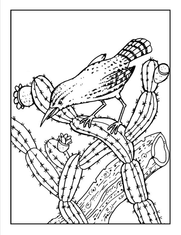Cactus Coloring Pages Free Printable