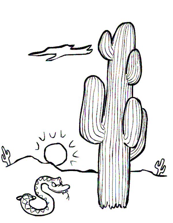 Cactus Coloring Pages