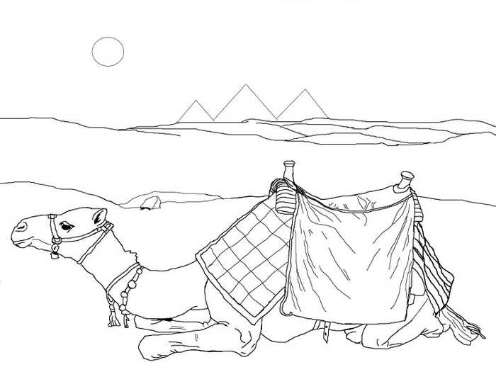 Camel Animal Coloring Pages 1