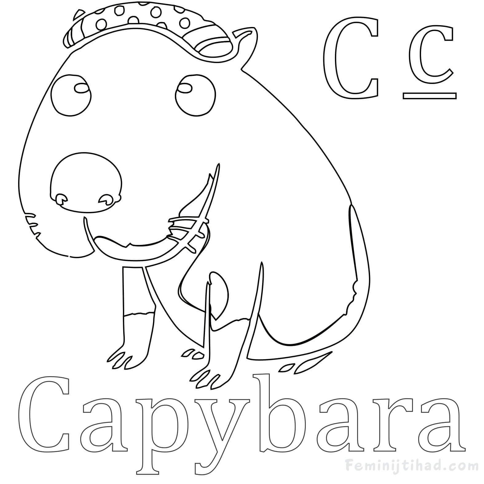 Capybara Coloring Page Free