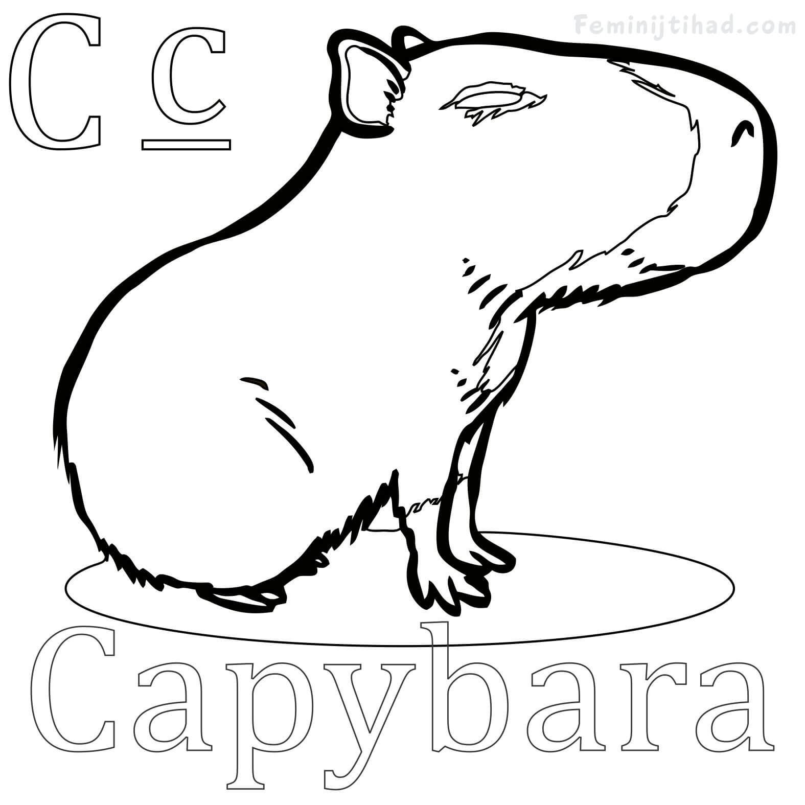 Capybara Coloring Page Online