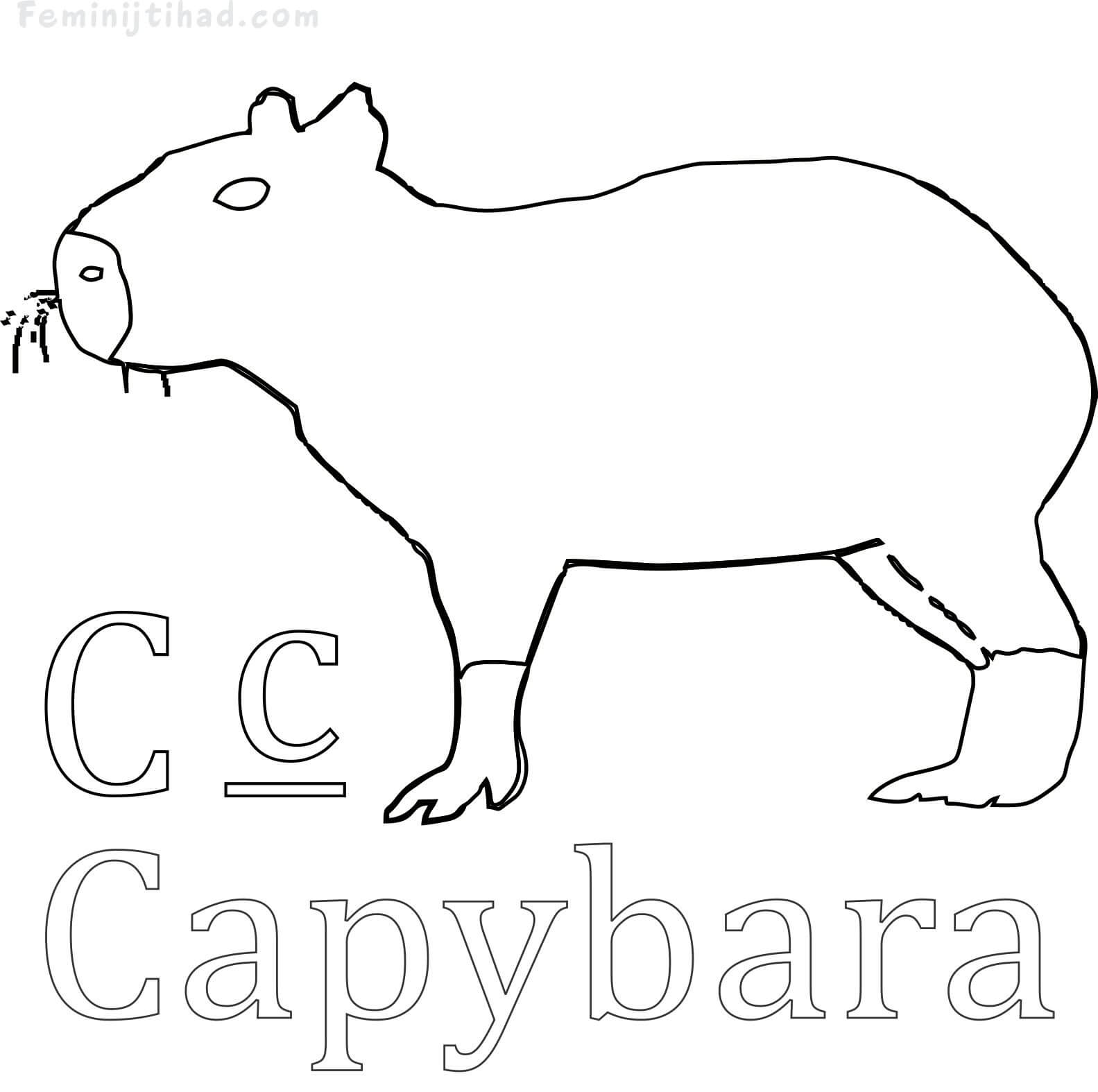 Capybara Coloring Page to Print