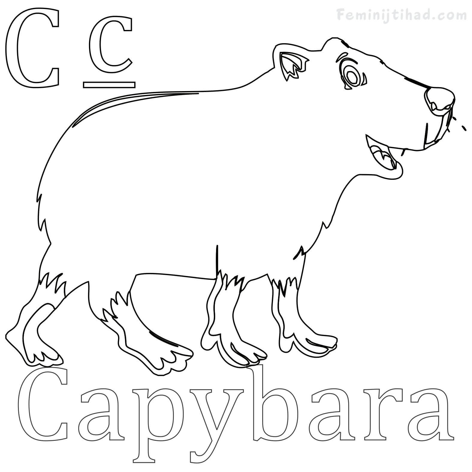 Capybara Coloring page Printable
