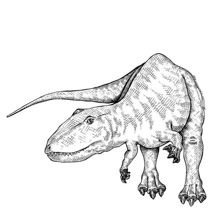 Carcharodontosaurus Dinosaur Coloring Page