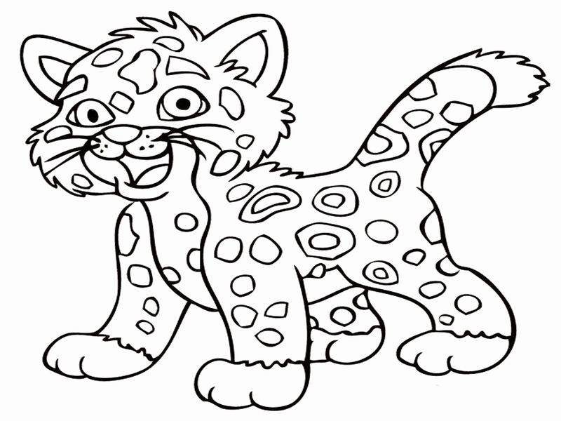 Printable Cheetah Coloring Pages PDF - Coloringfolder.com