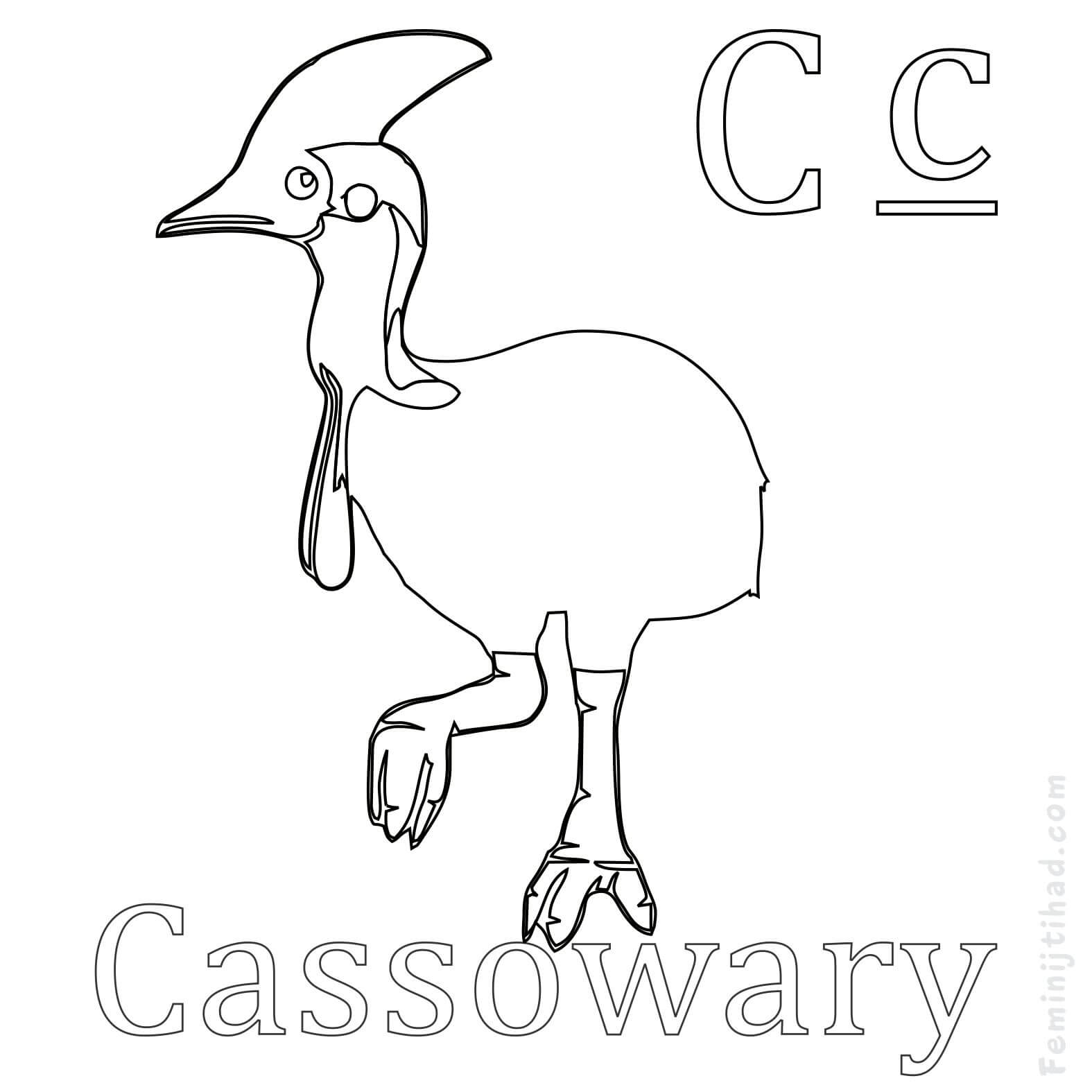Cassowary Coloring Page Easy