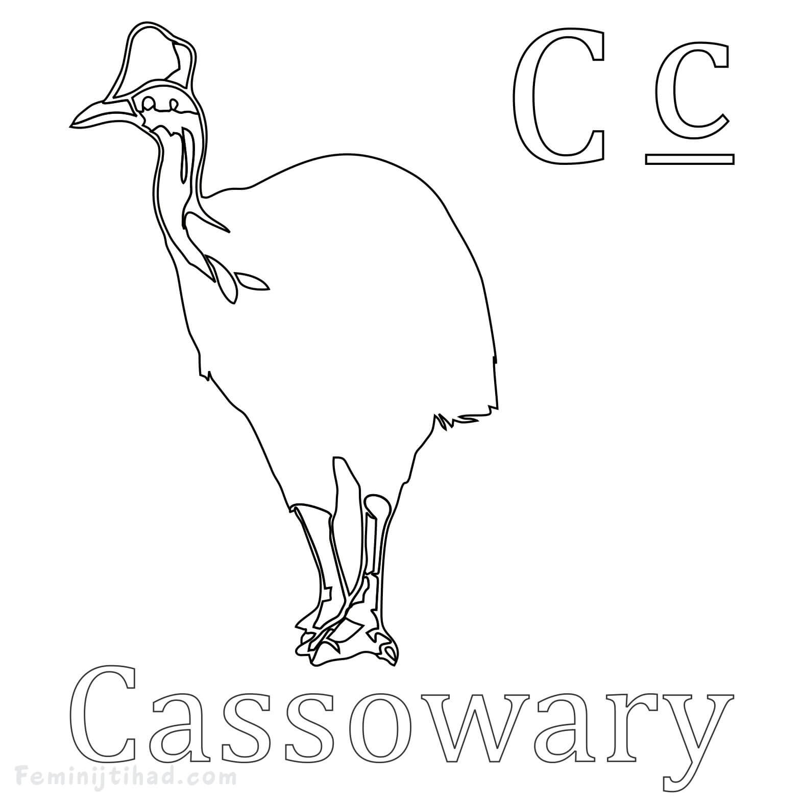 Cassowary Coloring Page Free