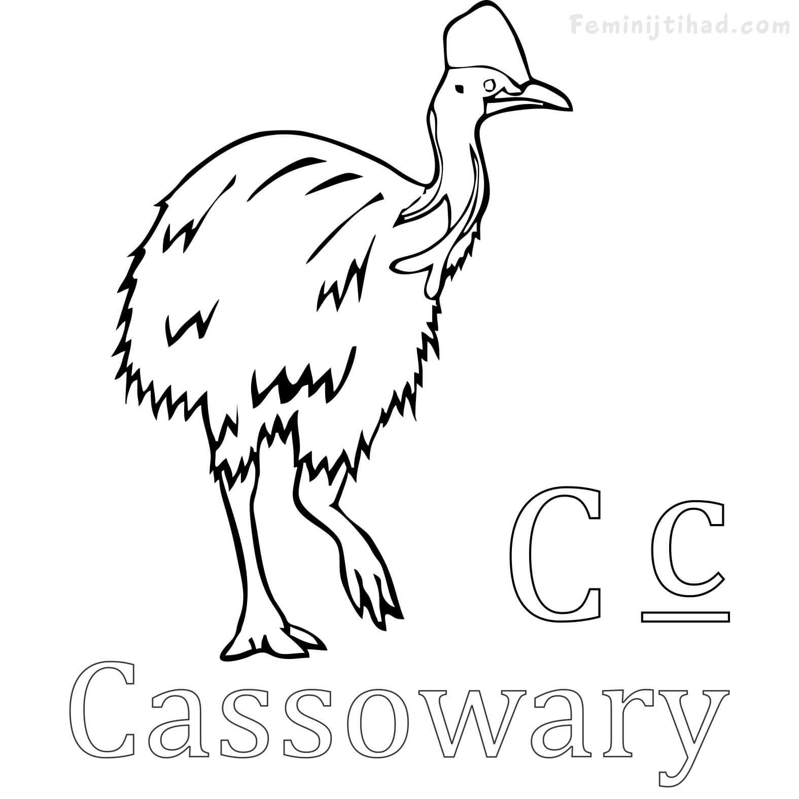 Cassowary Coloring Page Printable