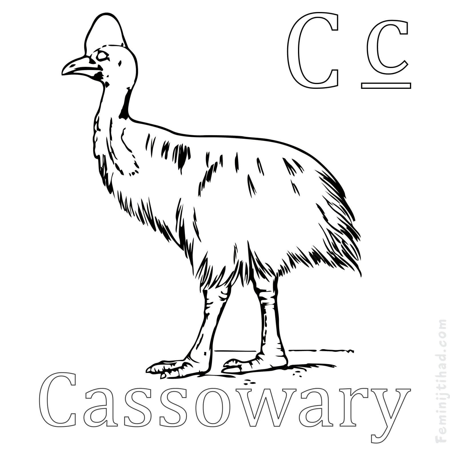 Cassowary Coloring Page to Print