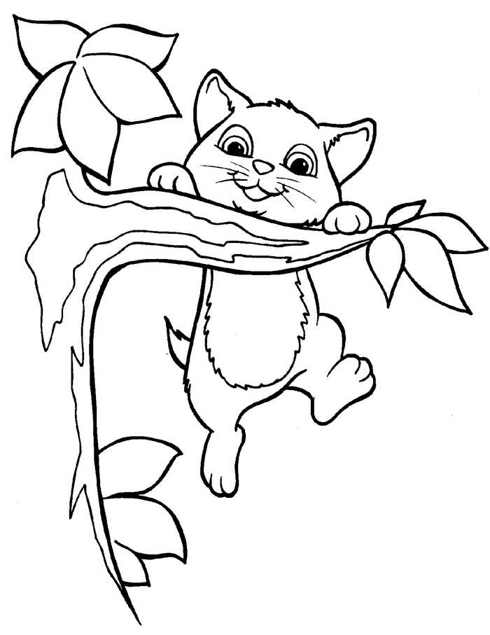 Cat Climbing Tree Coloring Pages
