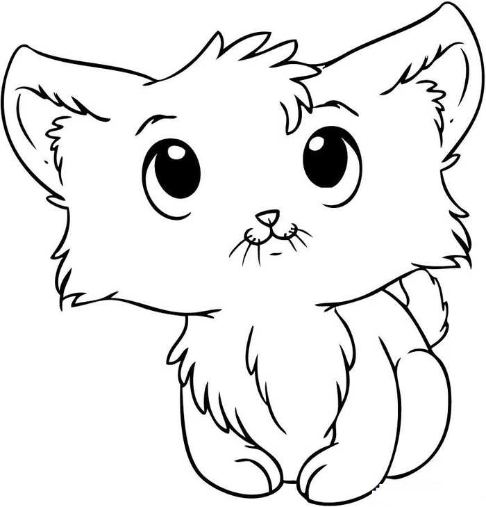 Cat Kitty Animal Coloring Pages
