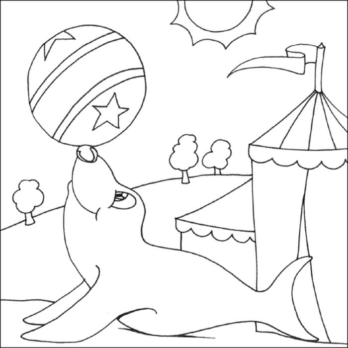 Challenging Seal Coloring Pages