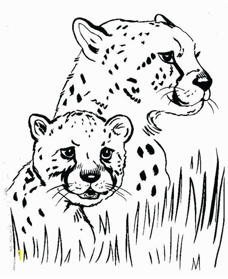 Cheetah Coloring Pages To Print