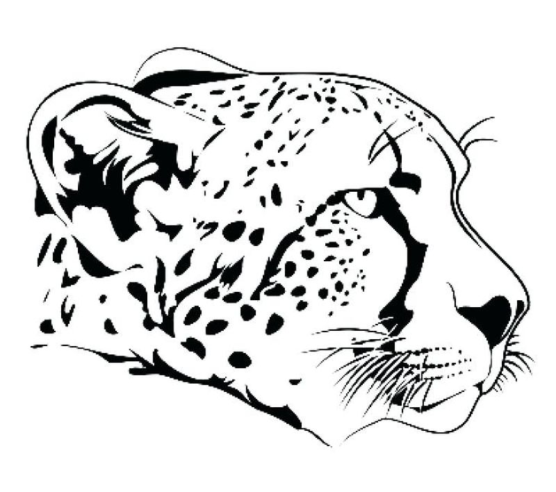 Cheetah Girls Coloring Pages