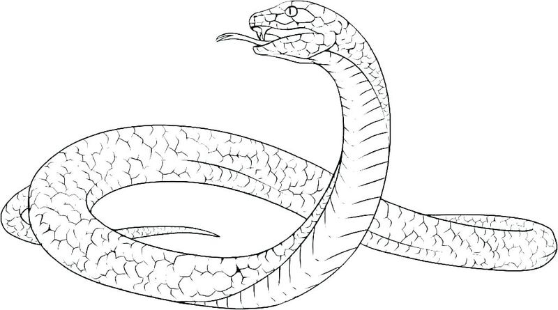 Chinese New Year Snake Coloring Pages